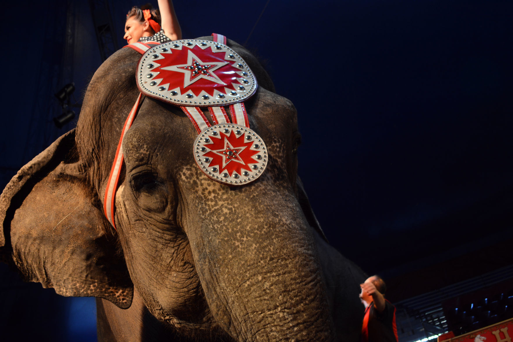 051918-bara-news-circus32